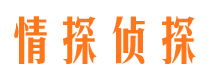 淮阳市私家侦探